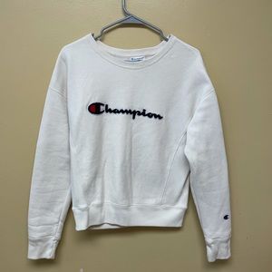 Champion Sweater
